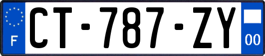 CT-787-ZY