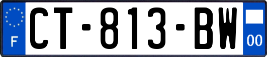 CT-813-BW