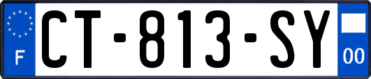 CT-813-SY