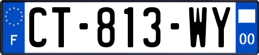 CT-813-WY