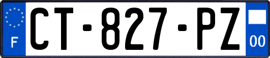 CT-827-PZ