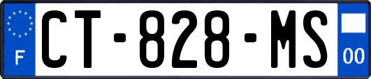CT-828-MS