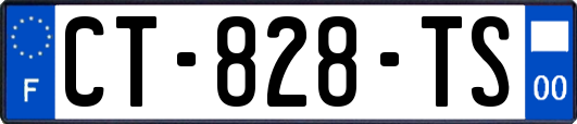 CT-828-TS