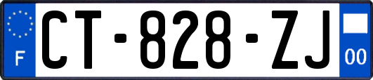 CT-828-ZJ