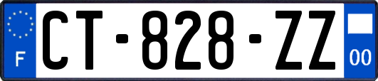 CT-828-ZZ