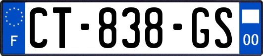 CT-838-GS