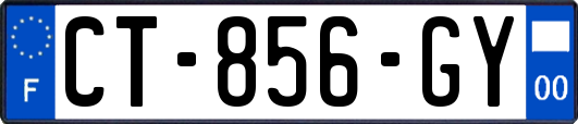 CT-856-GY