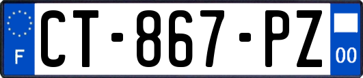 CT-867-PZ