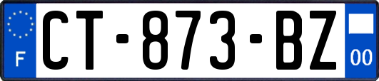 CT-873-BZ