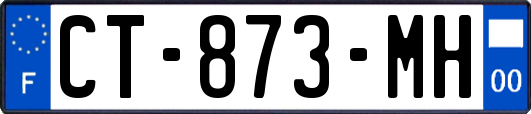 CT-873-MH