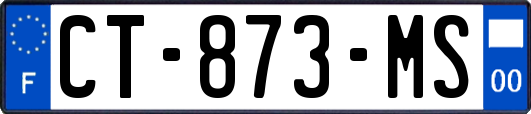 CT-873-MS