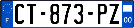 CT-873-PZ