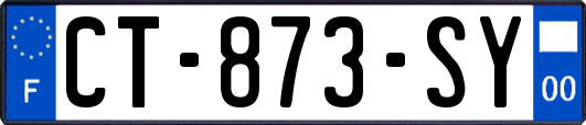 CT-873-SY