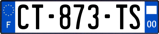 CT-873-TS
