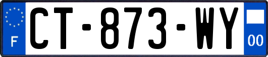 CT-873-WY