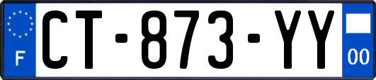 CT-873-YY