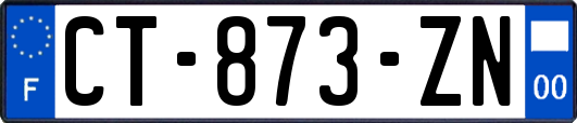 CT-873-ZN