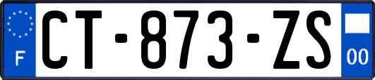 CT-873-ZS