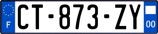 CT-873-ZY