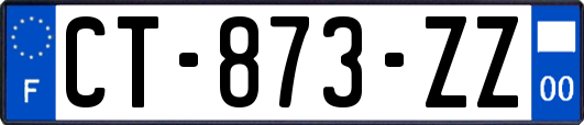 CT-873-ZZ