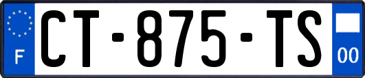 CT-875-TS