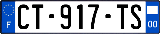 CT-917-TS