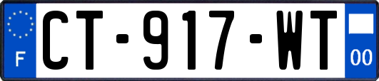CT-917-WT