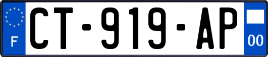 CT-919-AP