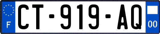 CT-919-AQ