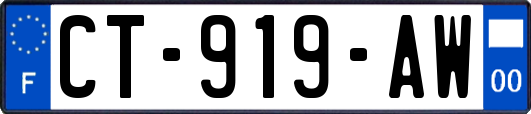 CT-919-AW