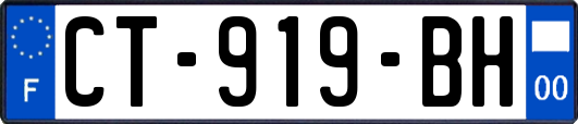 CT-919-BH