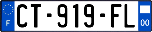 CT-919-FL