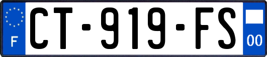 CT-919-FS