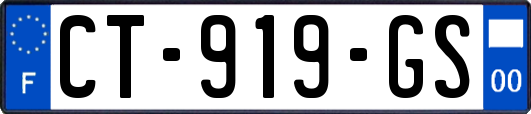 CT-919-GS