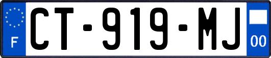 CT-919-MJ
