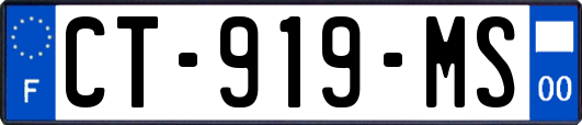 CT-919-MS