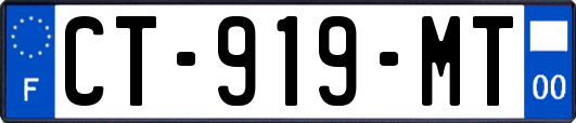 CT-919-MT