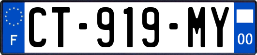 CT-919-MY