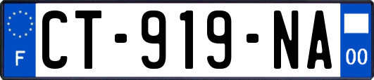 CT-919-NA
