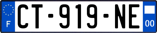 CT-919-NE