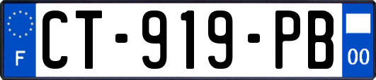CT-919-PB