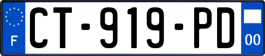 CT-919-PD