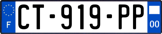 CT-919-PP
