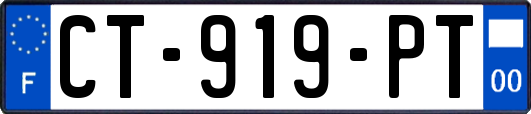 CT-919-PT