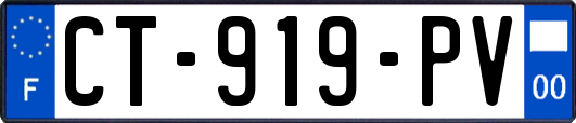 CT-919-PV