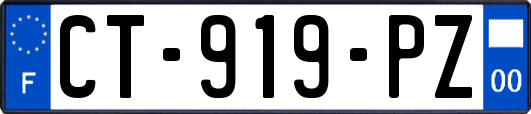 CT-919-PZ
