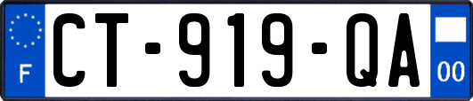 CT-919-QA
