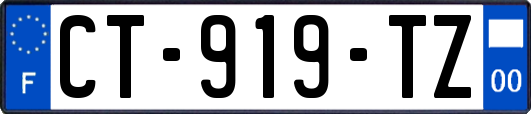 CT-919-TZ