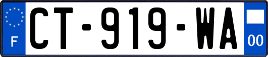 CT-919-WA