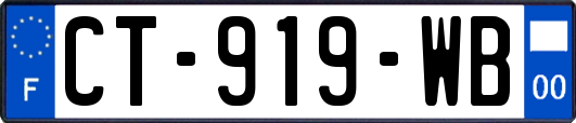 CT-919-WB